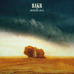 Нотная слеза by Bakr