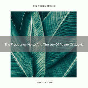 The Frequency Noise And The Joy Of Power Of 400Hz album