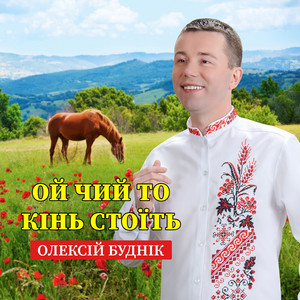 Ой чий то кінь стоїть