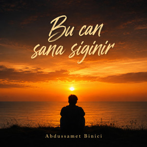Bu can sana sığınır by Abdussamet Binici