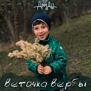 Веточка вербы by Дрозды