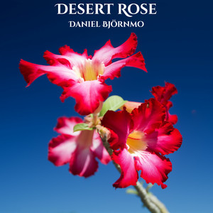 Desert Rose by Daniel Björnmo