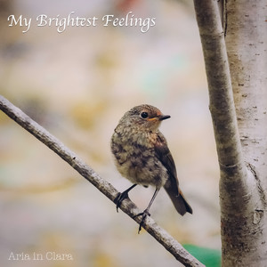 My Brightest Feelings by Aria in Clara