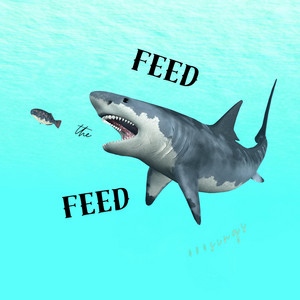 Feed the Feed
