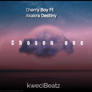 cherry boy single シルバー/ピンク XYGIN PINK SILVER 45度 700mlエックスワイ ジン ピンクシルバー