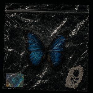 Maripo by Sustkid