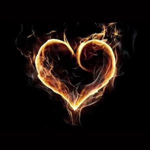 I Don't Wanna Fall In Love by Paul Alley