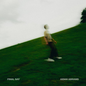 Final Say by Aidan Abrams