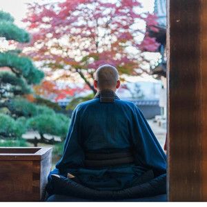 Japanese Zen by Leonardo Travensoli