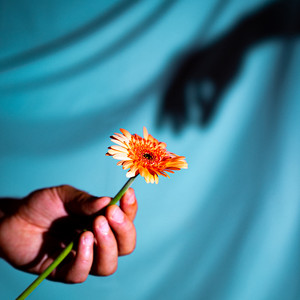 Simplement vivre by fleur sous bitume