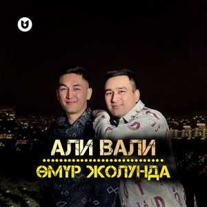 Өмүр Жолунда