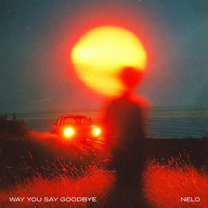 Way You Say Goodbye by Nelo