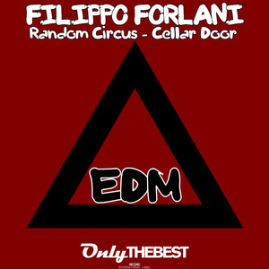 Filippo Forlani