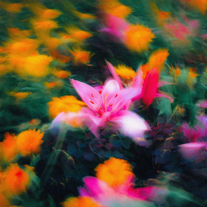 colour factory by hnylmn, Lisamor