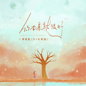 你本来就很好 - Dj九零版伴奏 by 李发发