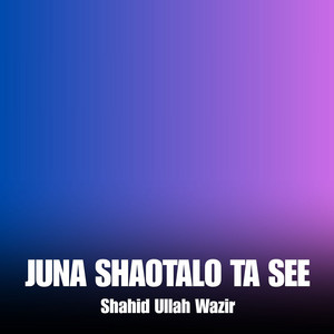 Shahid Ullah Wazir - Juna Shaotalo Ta See