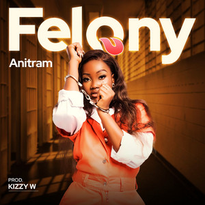 Anitram - Felony