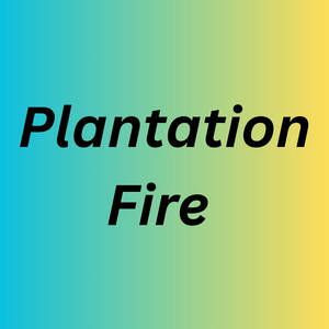 Plantation Fire by Mattybren35