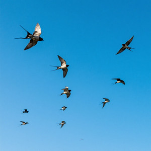 bajo el mismo cielo azul by Dark Pain LK
