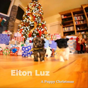 A Puppy Christmas