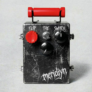 Flip The Switch by Meridiyn