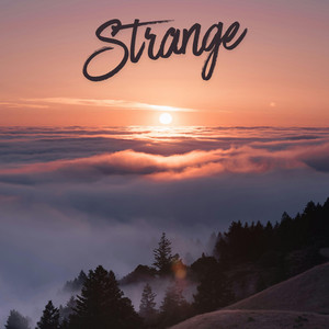 Strange by Willis Davis