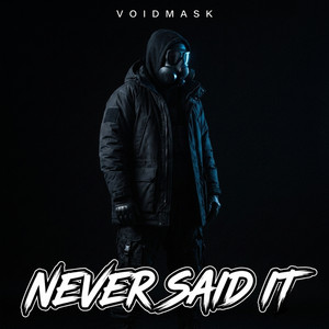 NEVER SAID IT by VOIDMASK