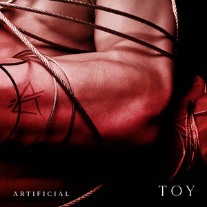 Toy