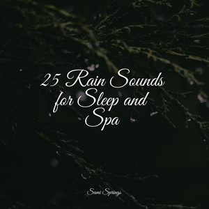 25 Rain Sounds for Sleep and Spa album