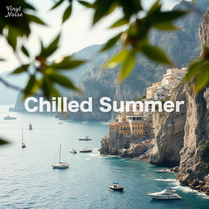 Vinyl Noise - Chilled Summer