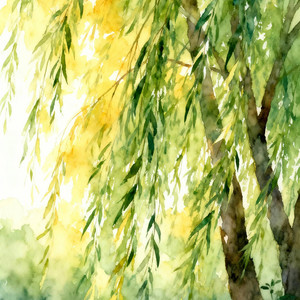 Midsummer Willow Breeze by Inkflow