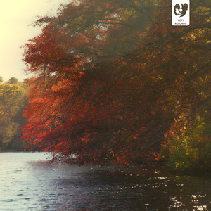 A Gentle Call by Northern Harbor