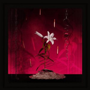 Forever's Not Enough by Sam Zalta, Mimi Pretend, Ana Becker