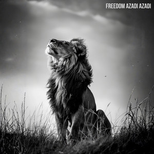 Freedom Azadi Azadi by Zahra Deljoui