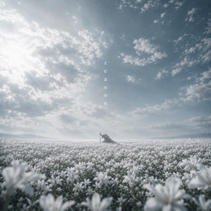 reason by Eqnis