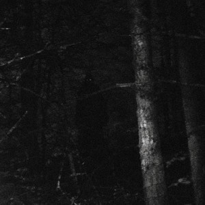 s3izures_ - extra slowed by kyksdu