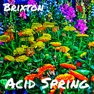 Acid Spring