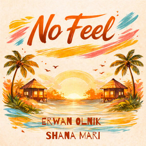 No Feel - Radio Edit by Erwan Olnik, Shana Mari