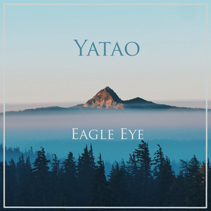 Eagle Eye by Yatao