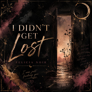 i didnt get lost by Felicia Noir