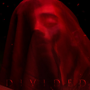 Divided - Radio Edit by Feed The Sickness