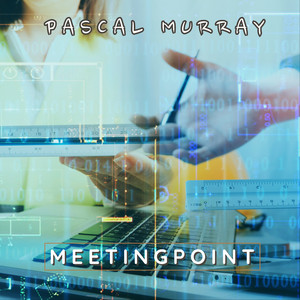 Meetingpoint by Pascal Murray