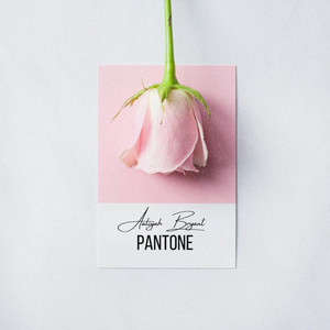 Pantone by Aaliyah Bryant