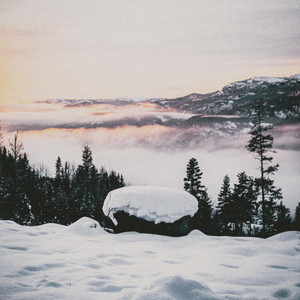 Solace by Nathaniel Graham