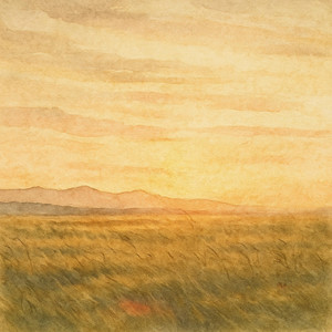 Chasing the Horizon by Maneli Jamal