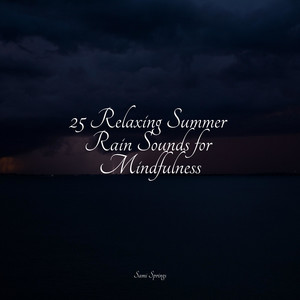 25 Relaxing Summer Rain Sounds for Mindfulness album