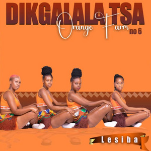 Tshitshidi by Dikgalala Tsa Orange Farm