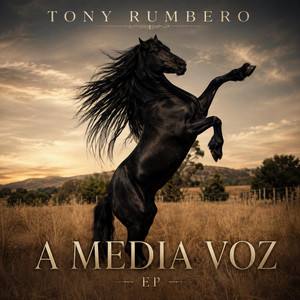 Tú Tienes la Culpa by Tony Rumbero