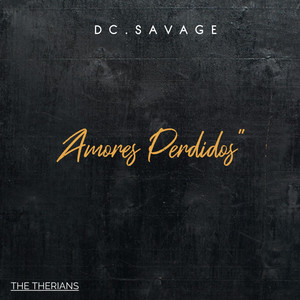 Amores Perdidos by Dc.SaVaGe