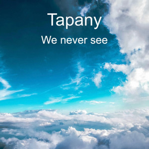 We Never See by Tapany